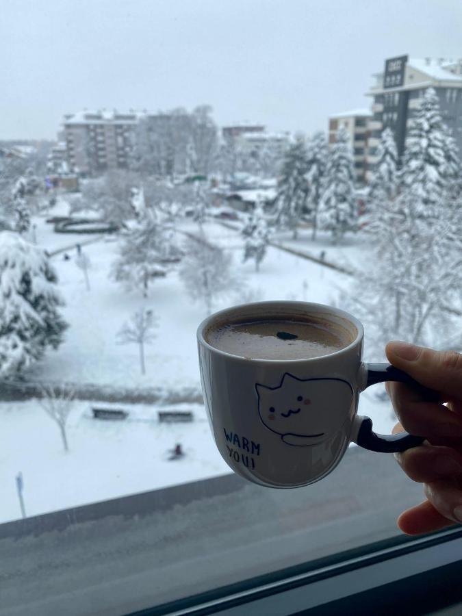 Alo Alo Apartman 6 쿠르셰바츠 외부 사진